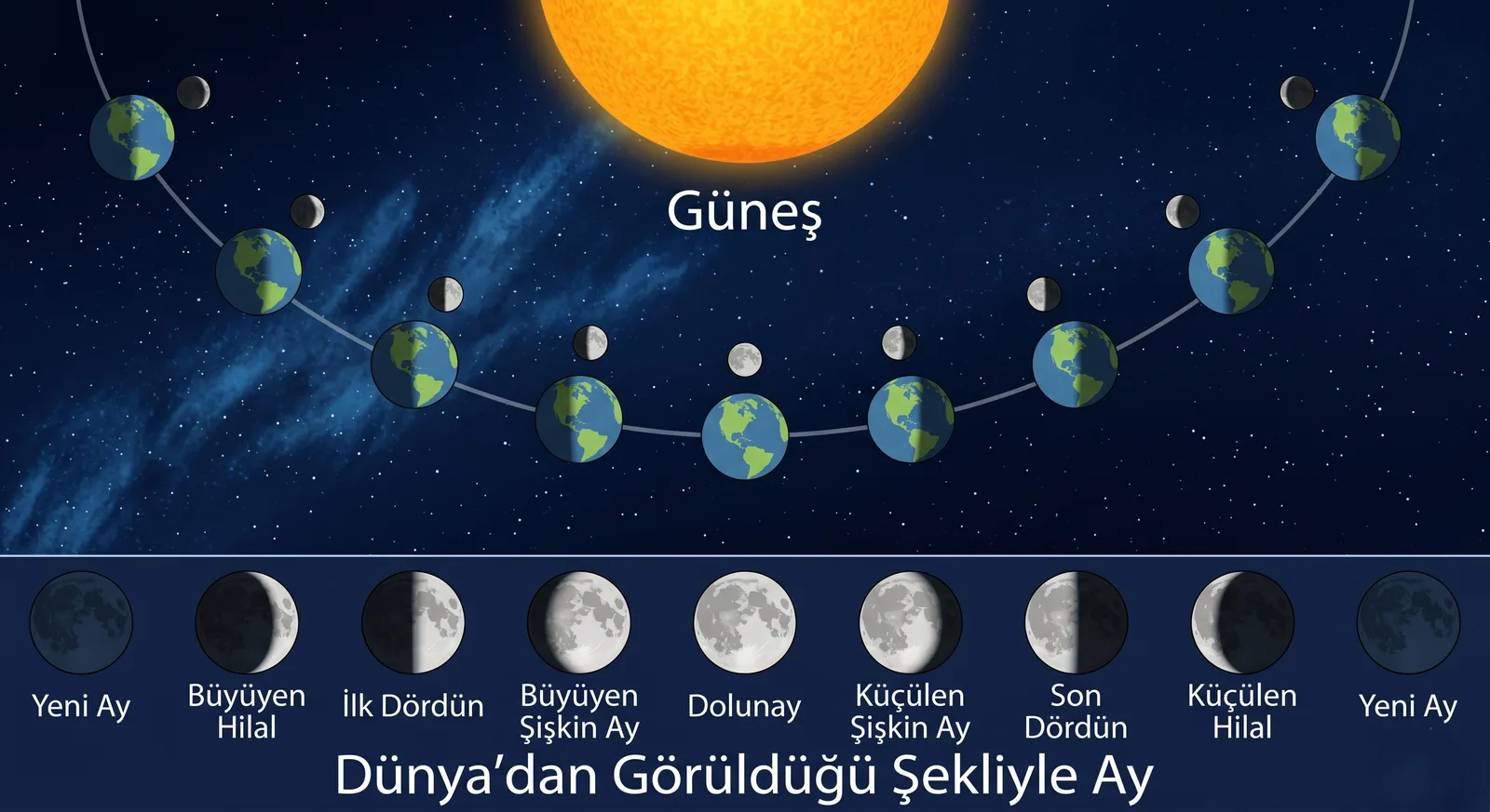 Ay'ın evreleri — Güneş-Dünya-Ay konumlanması ve Dünya'dan görünen ay yüzü